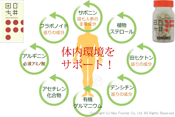 田七人参に含まれる成分
