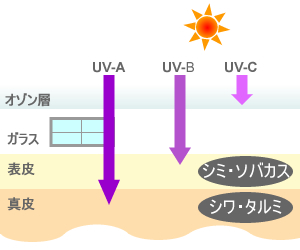 紫外線の種類 紫外線の種類